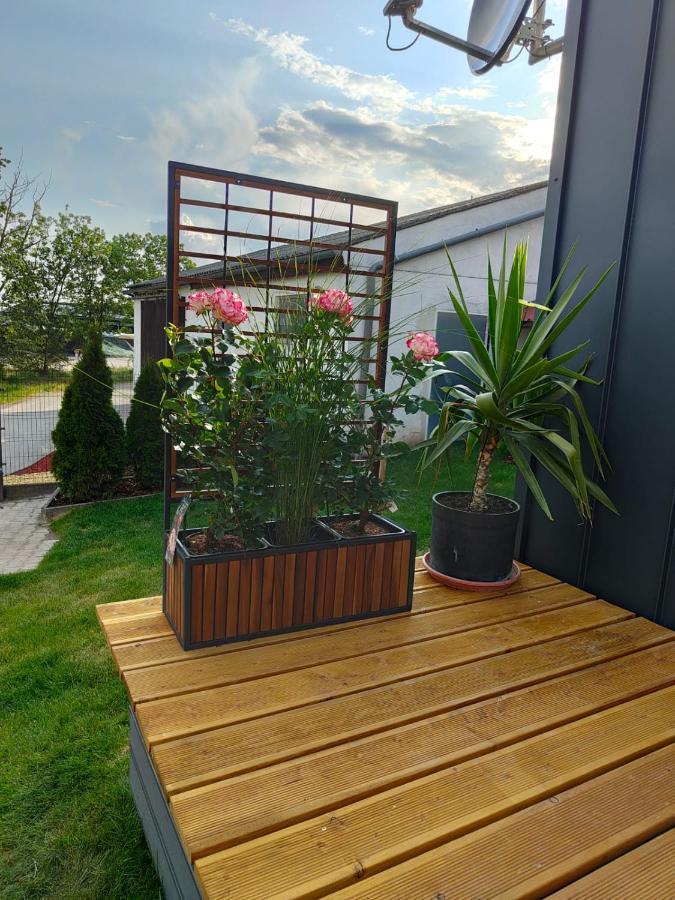 Mariolas Tinyhouse Markt Nordheim Exteriör bild
